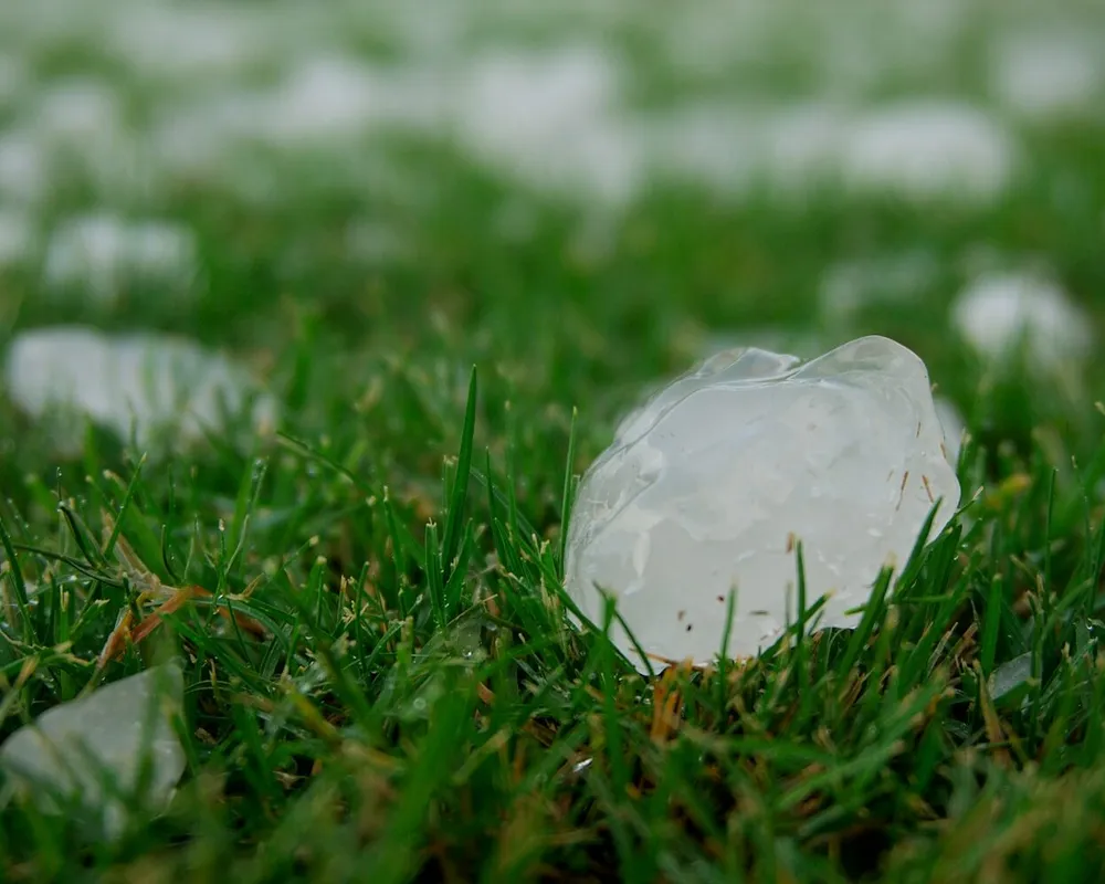 Un gros grêlon posé dans l'herbe, d'autres grêlons dispersés en arrière-plan